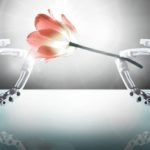 Tecnologia prol da vida Tecnologia prol da vida
