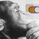 VPS ou Data Center Virtual: qual é a melhor opção?