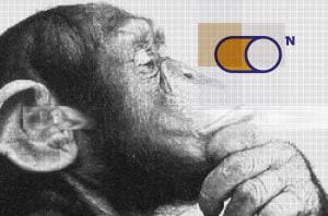 VPS-Data-Center-Virtual