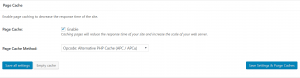 Plugin-W3-Total-Cache-page-cache